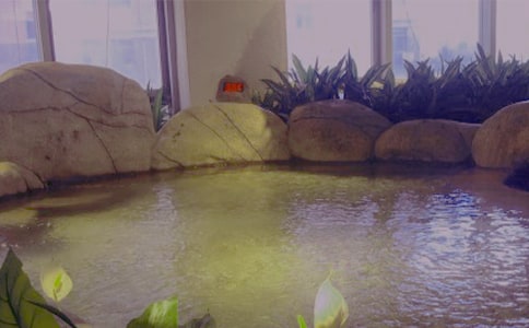 快樂的溫泉之旅作文4篇