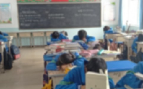 午休作文500字4篇