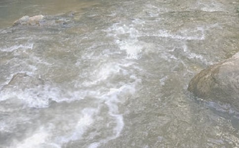 ��СϪ���ĸ衷�̌W(xu��)�O(sh��)Ӌ(j��)��ͨ��6ƪ��