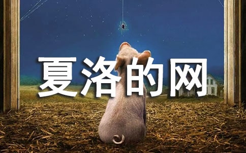 ����ľW(w��ng)�x��з���