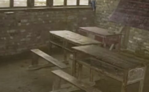 美麗的鄉(xiāng)村小學(xué)作文650字