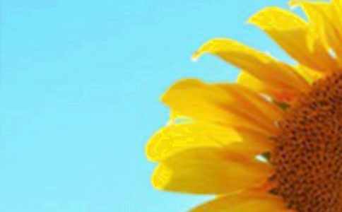 ���᡿���տ�����������