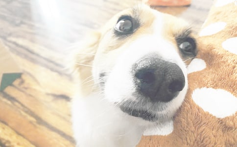 С���X�X�^��Ѓ�(y��u)�㷶��