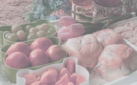 快樂的野餐作文(6篇)