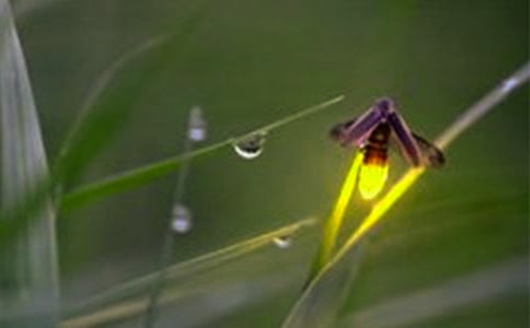 Ξ���x�Ć�ʾ���ģ�ͨ��25ƪ��