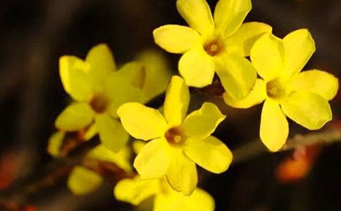 ӭ�����^����ӛ