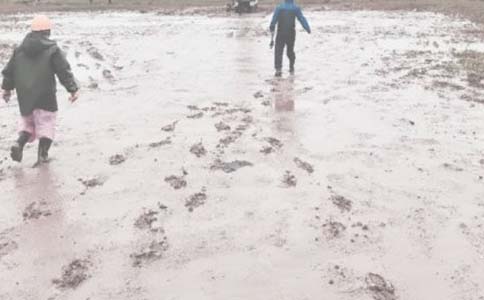 華北油田采油二廠實(shí)習(xí)報(bào)告