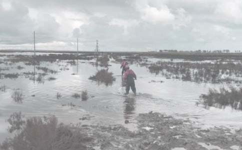 ���ﶬ����ȫ���a(ch��n)�������������x8ƪ��