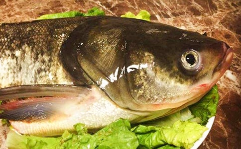 我發(fā)現(xiàn)了媽媽愛(ài)吃魚(yú)頭的秘密作文