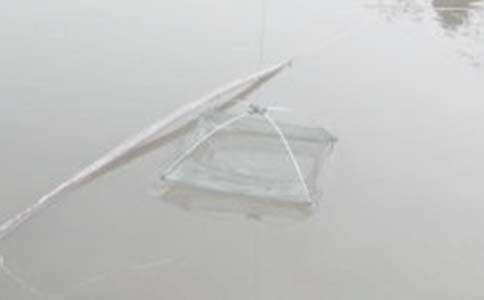 ��O�W(w��ng)�Α�����