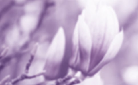 2017�����m�����ġ����x��