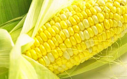 �����]������������