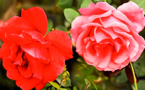 �¼����^����ӛ