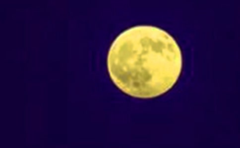 人月圓·雪中游虎丘詩詞鑒賞