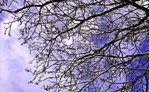 ��(j��ng)���(l��)־�簲�Z�