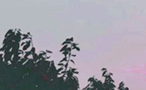 2022�ꌍ(sh��)�õ��m�Ͻo���ѵ��簲����Ȧ��(w��n)���Z(y��)40�l