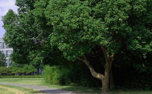 �����T���簲��־���Z�28��