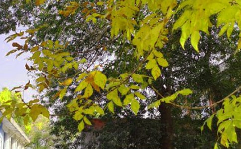 8���簲��������(l��)־�Z䛣����x320�䣩