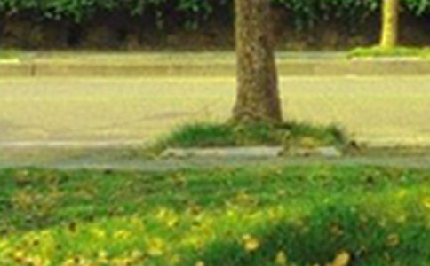 �����A��2023���簲��(l��)־���Z(y��)��\��56��