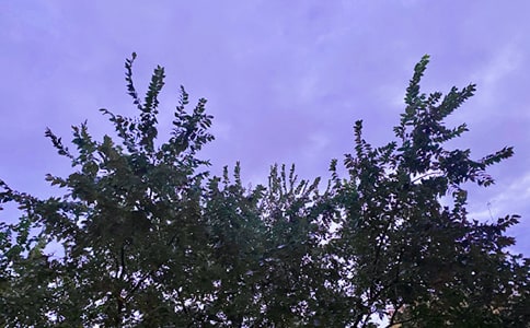 2023�꺆�εĄ�(l��)־�簲�Z䛼���74��