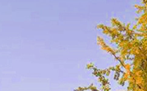 �����T���簲��(l��)־���Z䛅R��80�l