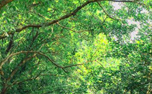 �����A��2022���(l��)־�簲�Z(y��)䛺ϼ�55�l