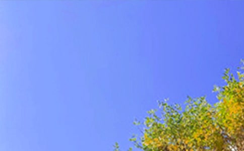 ���Ä�־�簲�Z䛺ϼ�45��