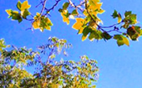 2022�꺆�ε��簲��־���Z�250��