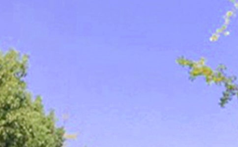 ��(l��)־�簲�Z䛅R��63��