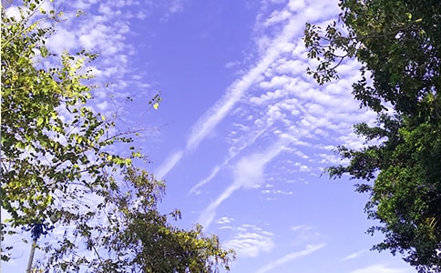 ��(l��)־�簲�Z䛅R����ͨ��85�䣩