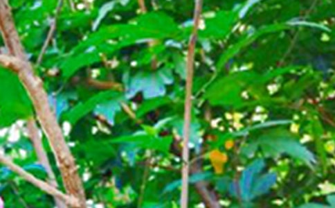 2022�꺆�εĄ�(l��)־�簲�Z䛺ϼ�56�l