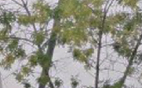 ��(j��ng)���(l��)־�簲�Z䛴�ȫ195��