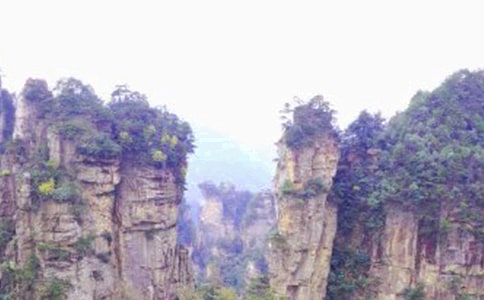 張家界游記作文(集合15篇)