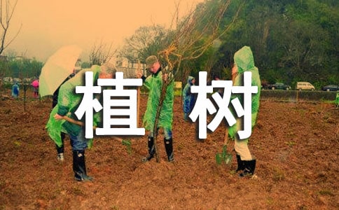 ֲ�������f�n��