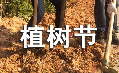 植樹節(jié)經(jīng)典宣傳標(biāo)語(11篇)