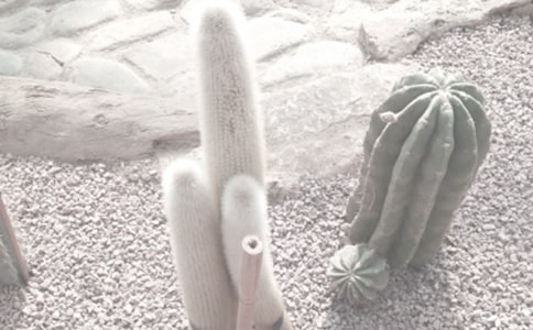 �����ֲ��@����600�֣�ͨ��5ƪ��