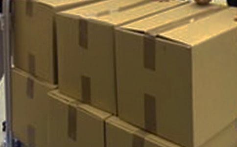 大學生紙箱廠實踐報告鑒定