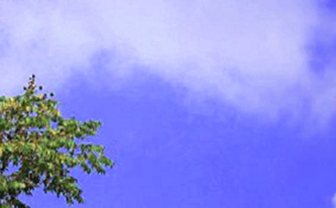 С�W(xu��)������Ͳͅf(xi��)�h������