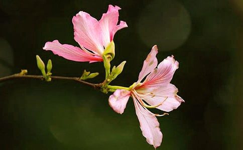 ���G���_��ʮ������