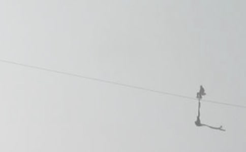 大班科學(xué)冒險小子走鋼絲教案