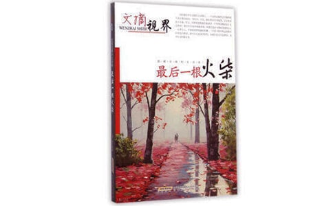 《最后一根火柴》閱讀題及答案