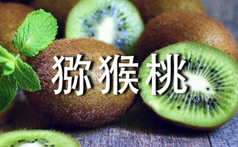 ���l(xi��ng)�īJ��������(����15ƪ)