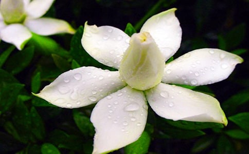 ���d�ӻ��_(k��i)�����~