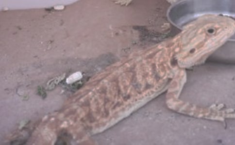 ����ķ���֮������