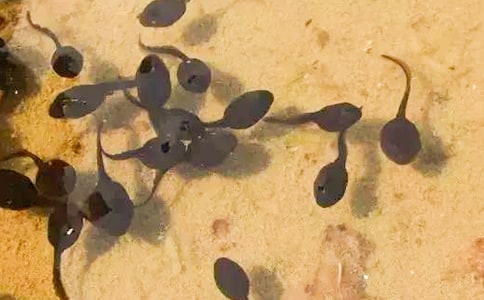 С���̌W(xu��)�O(sh��)Ӌ(j��)����