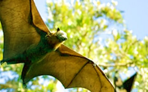 ����������_����(y��u)�㽛��̌W�OӋ��ͨ��5ƪ��