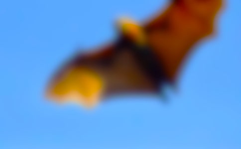 �������c���_���̌W(xu��)�O(sh��)Ӌ