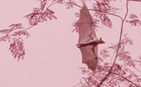 ����������_(d��)���ڶ��n�r�Ľ̌W(xu��)�O(sh��)Ӌ