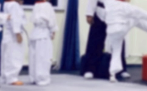 最新跆拳道教學(xué)計(jì)劃11篇