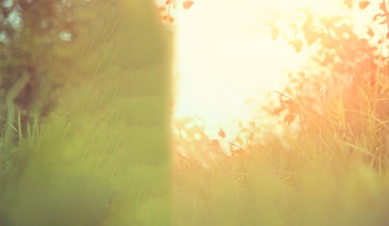 2023�꺆�ε�Ψ����(l��)־���Z䛼��\85�l